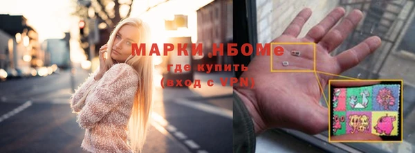 шишки Алзамай