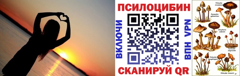 закладка  Аткарск  Галлюциногенные грибы GOLDEN TEACHER 
